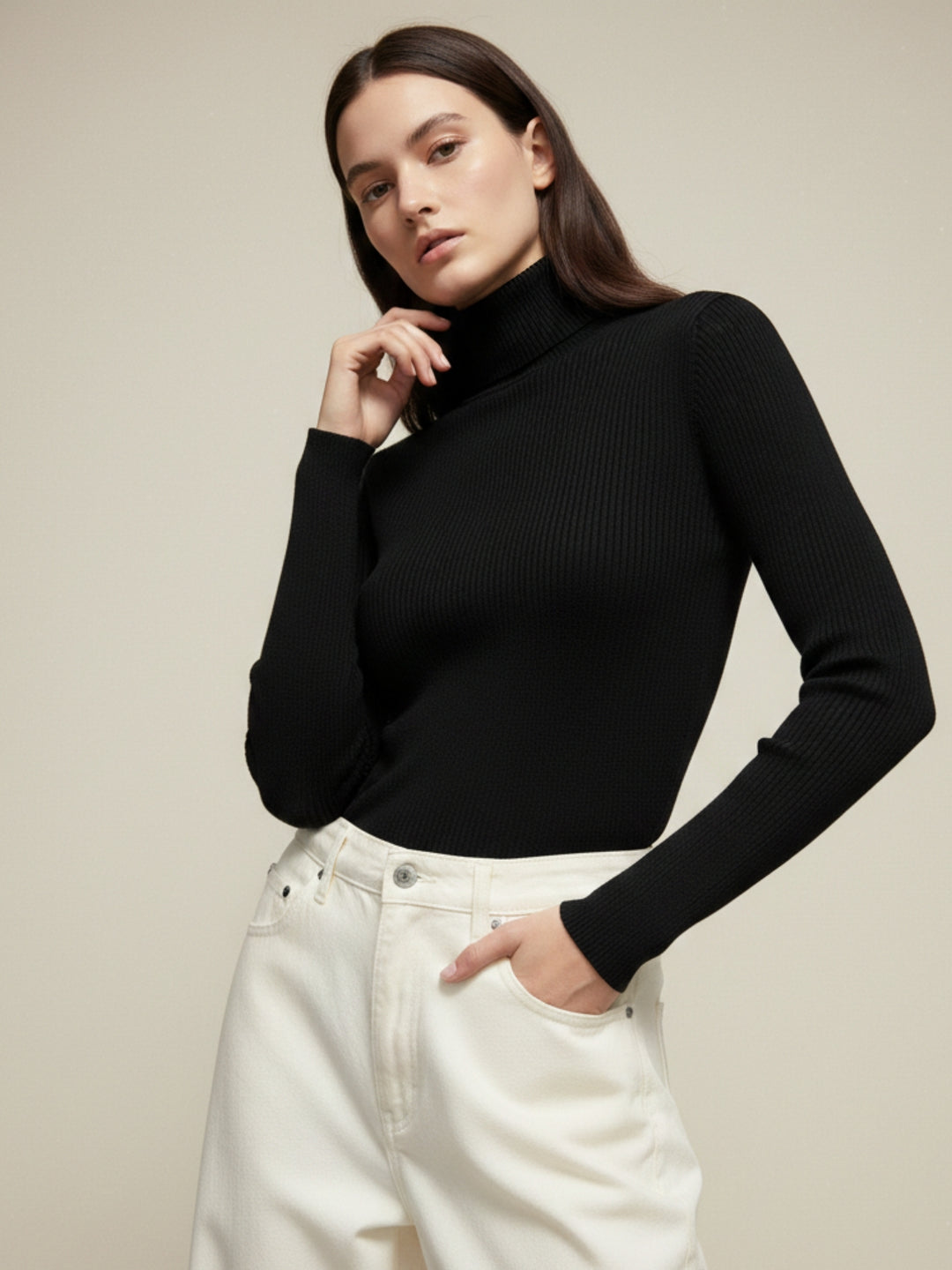 Black Solid Basic Turtle Neck Top