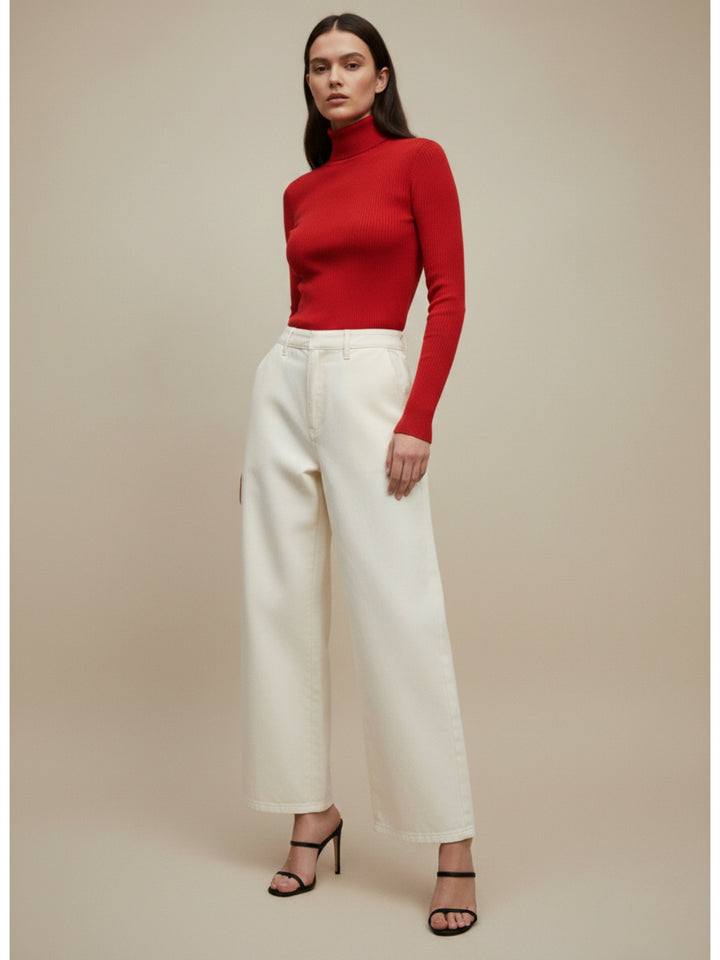 Rust Solid Basic Turtle Neck Top