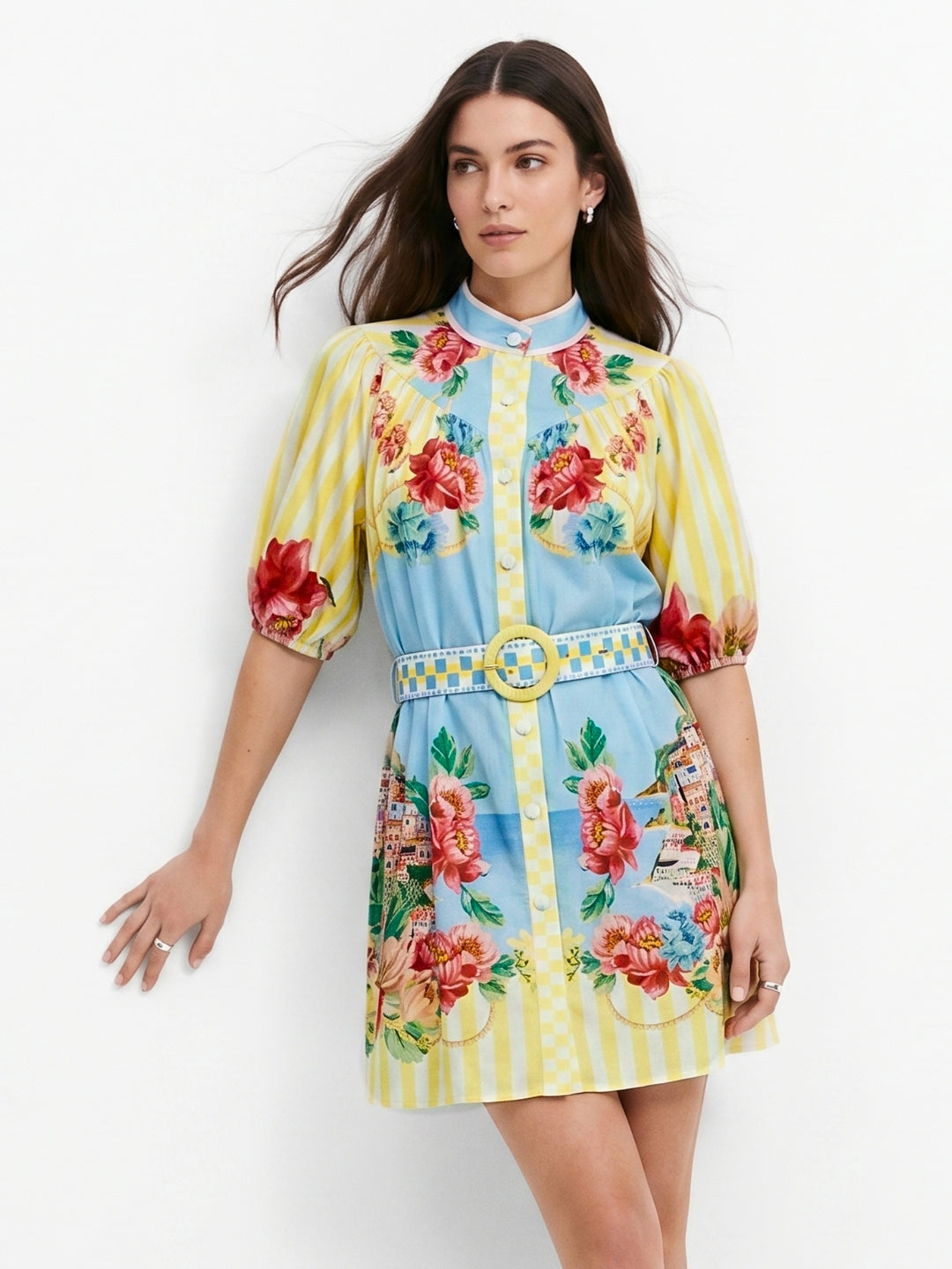 Multi Puff Sleeve Printed Dress