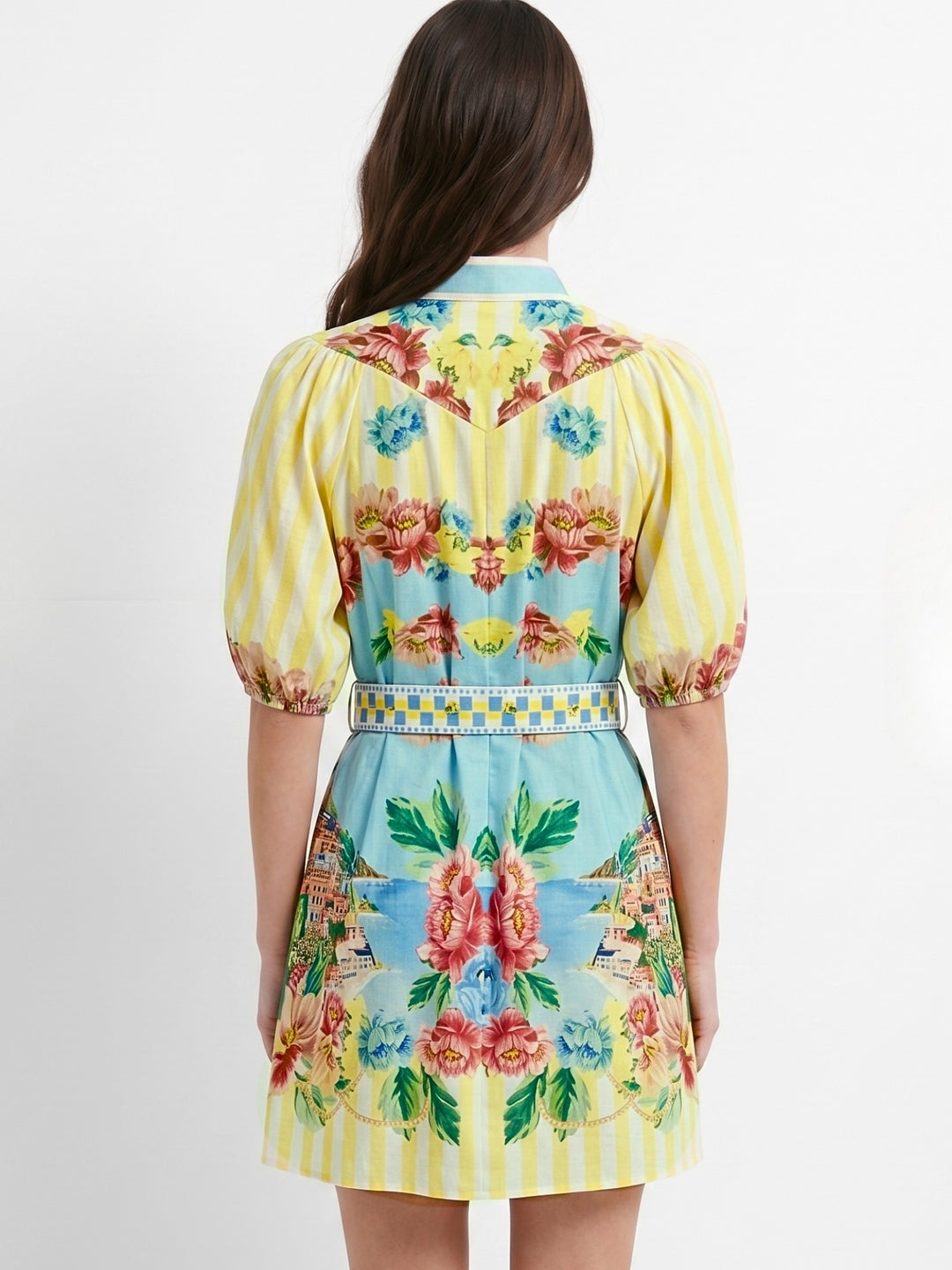 Multi Puff Sleeve Printed Dress