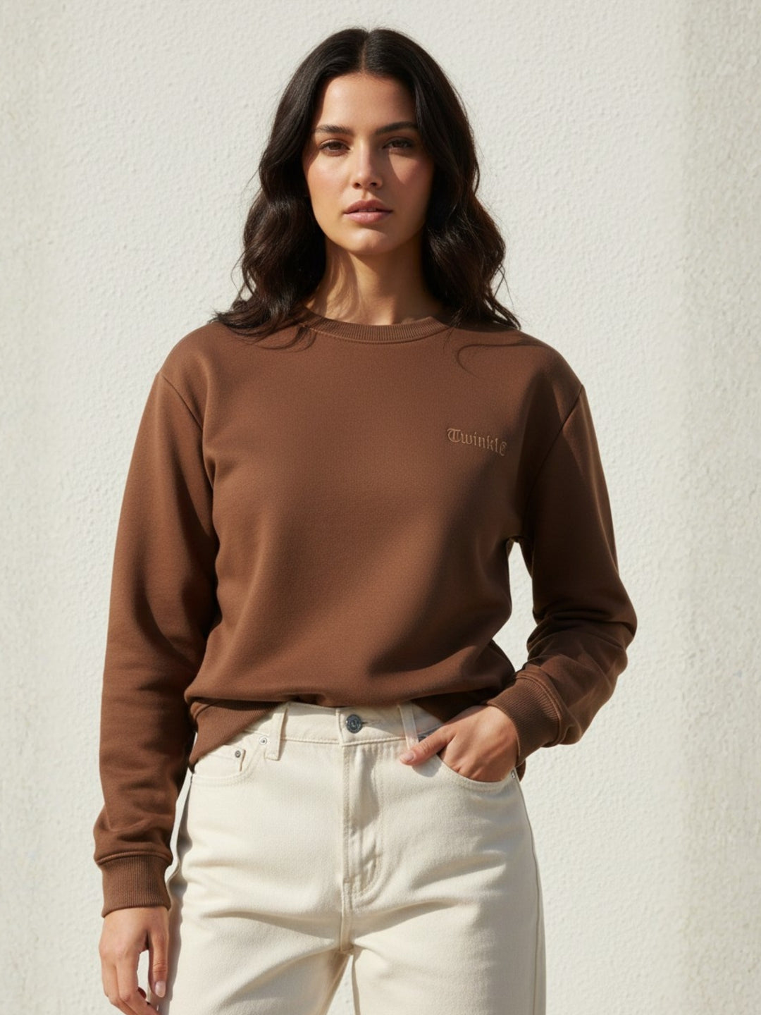 Brown Full Sleeve Crew Neck Typography Fleece Sweatshirt
