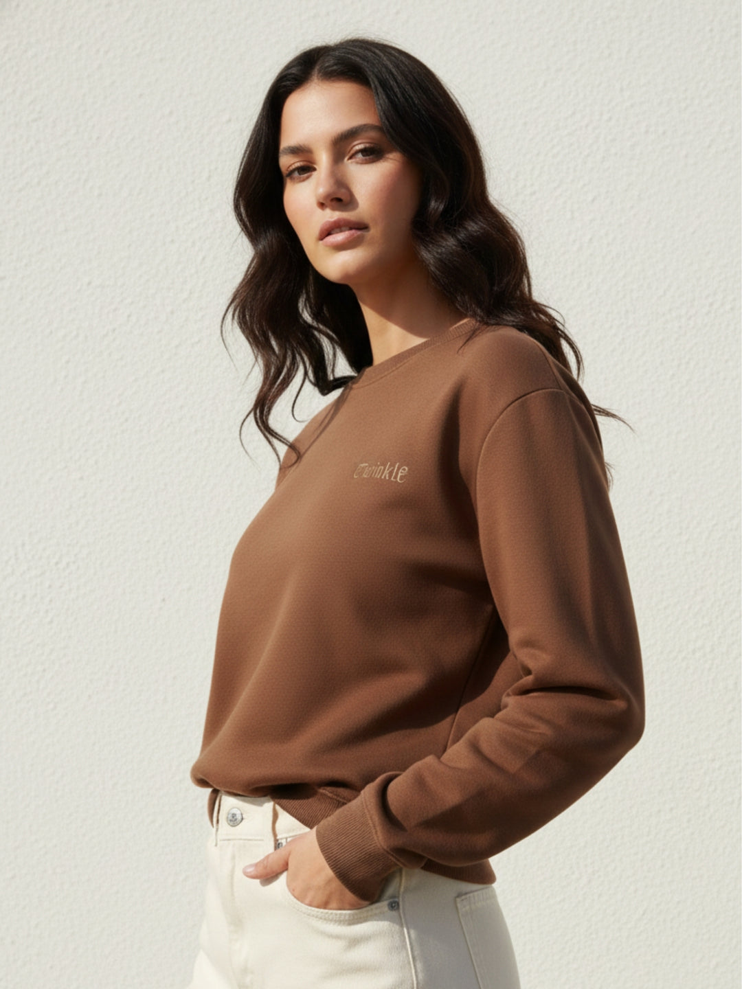 Brown Full Sleeve Crew Neck Typography Fleece Sweatshirt