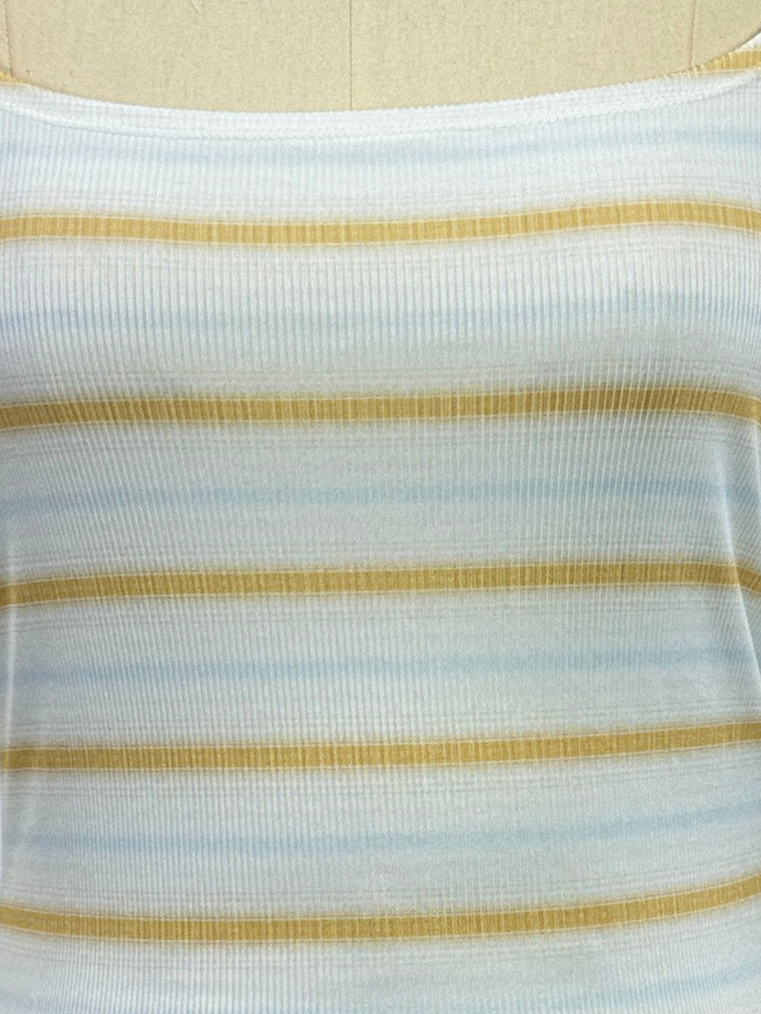 Blue Scoop Neck Striped Top