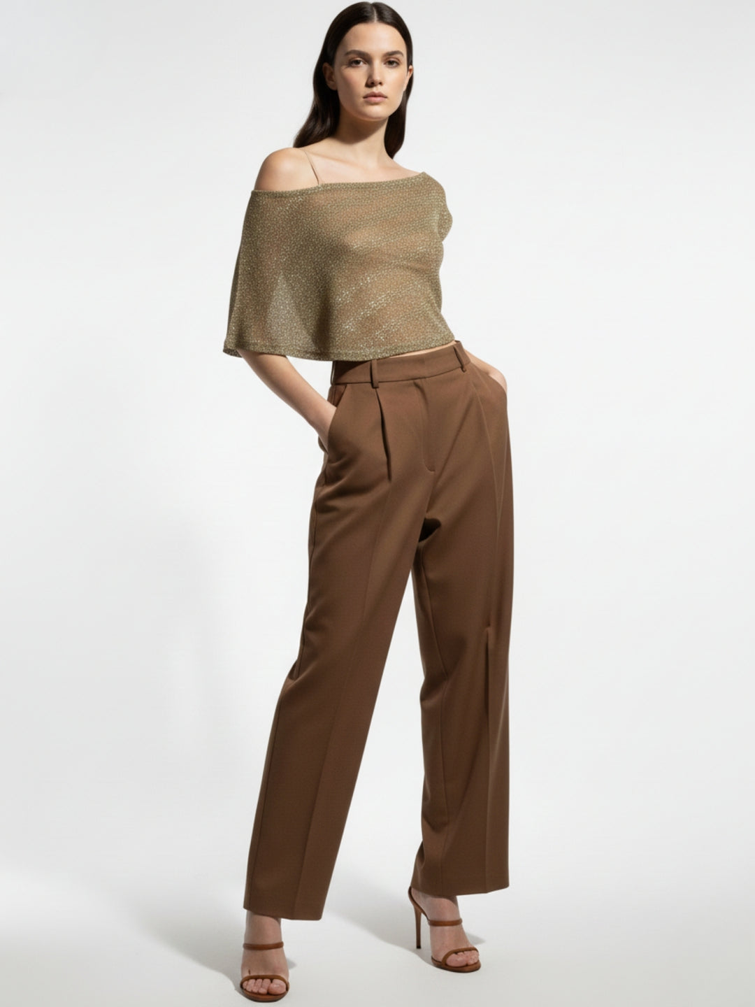 Beige Off-Shoulder Shimmer Sheer Top