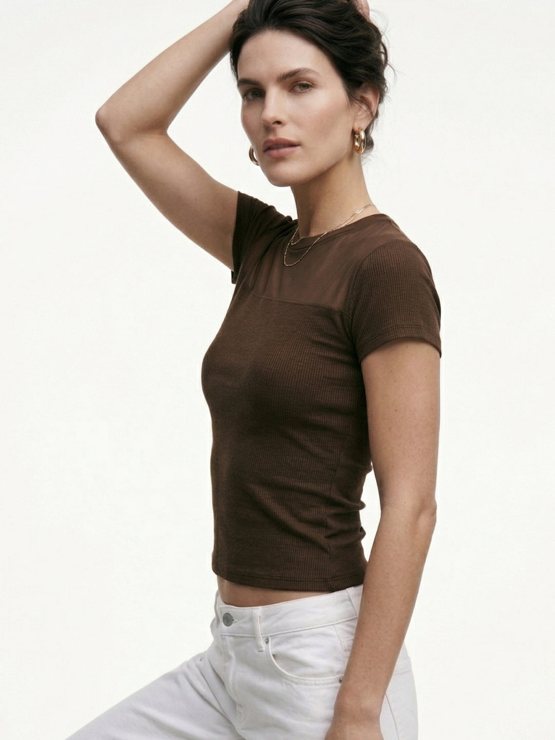 Brown Short Sleeve Mesh Top