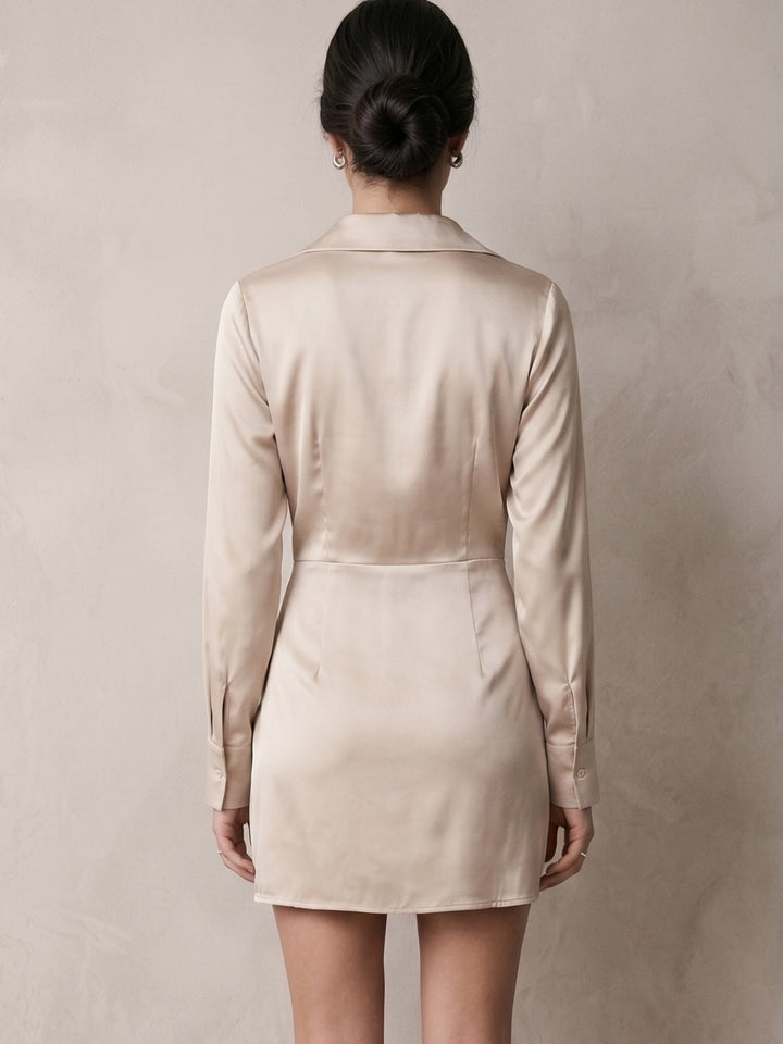 Beige Full Sleeve Collared Neck Dress
