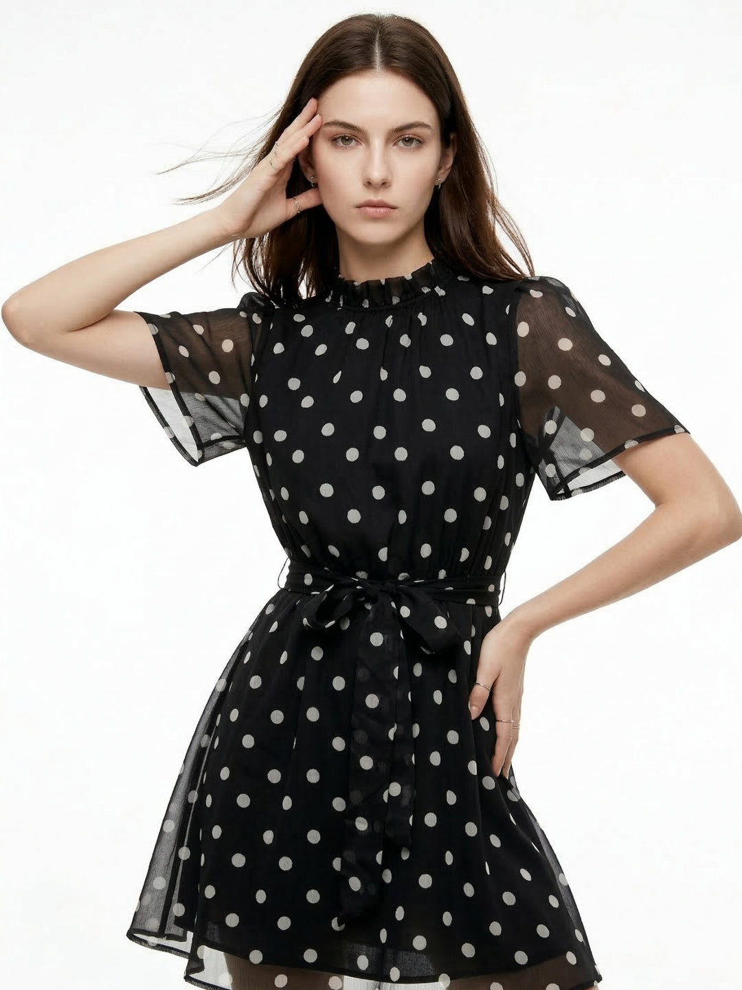 Black Polka Dotted High Neck Sheer Dress