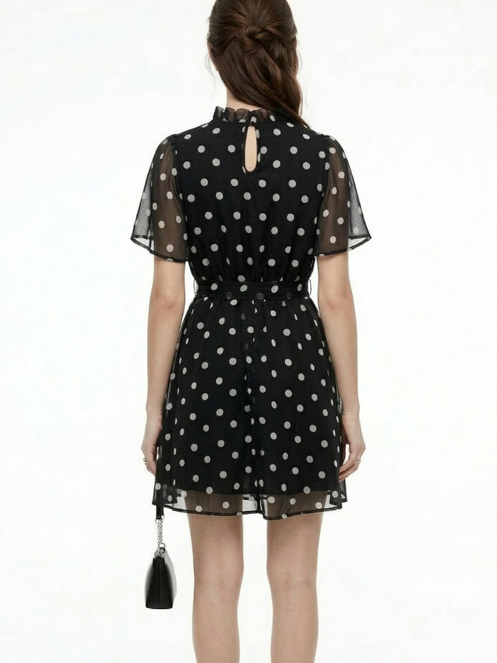 Black Polka Dotted High Neck Sheer Dress