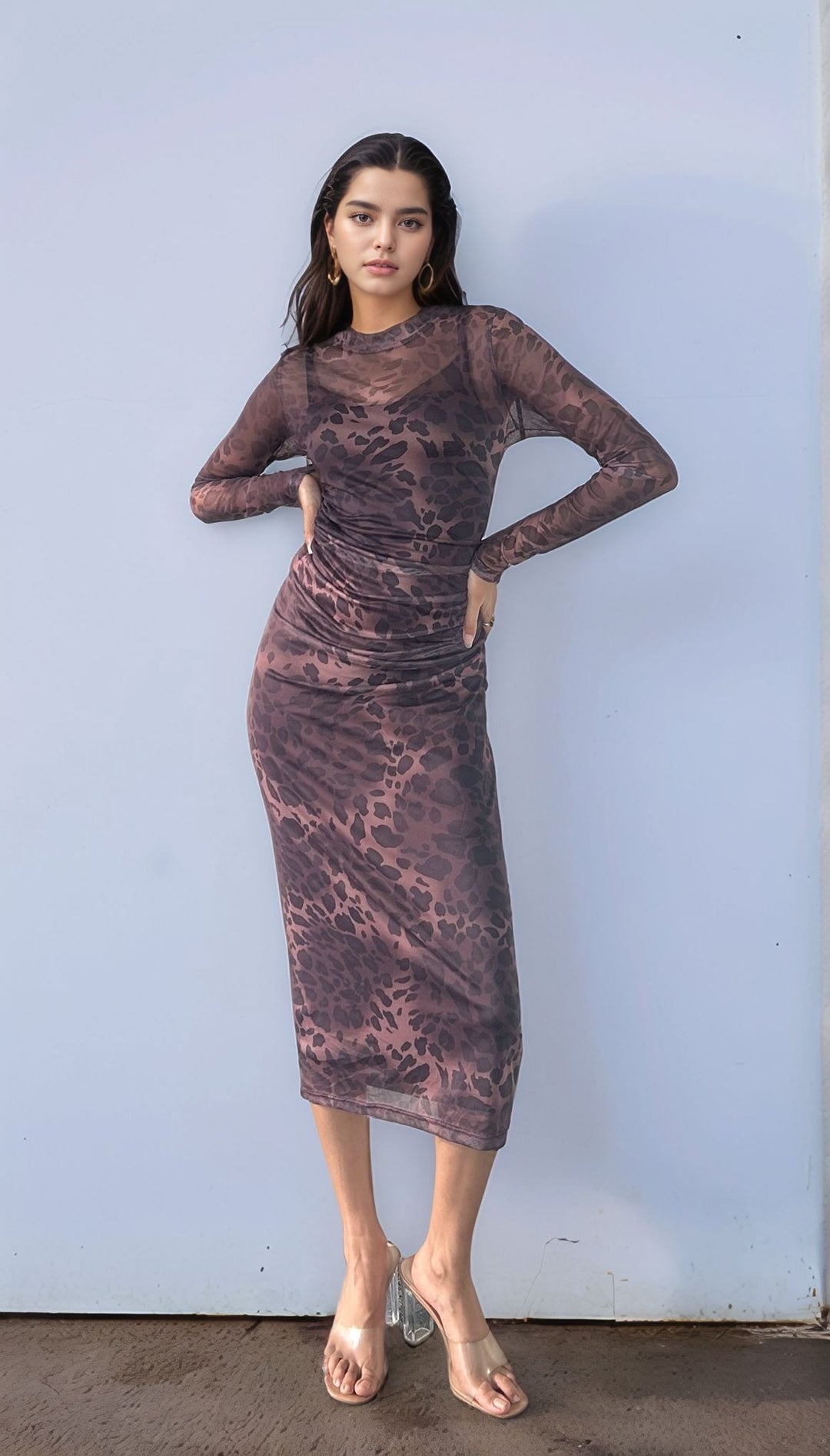 Brown Leopard Print Mesh Dress