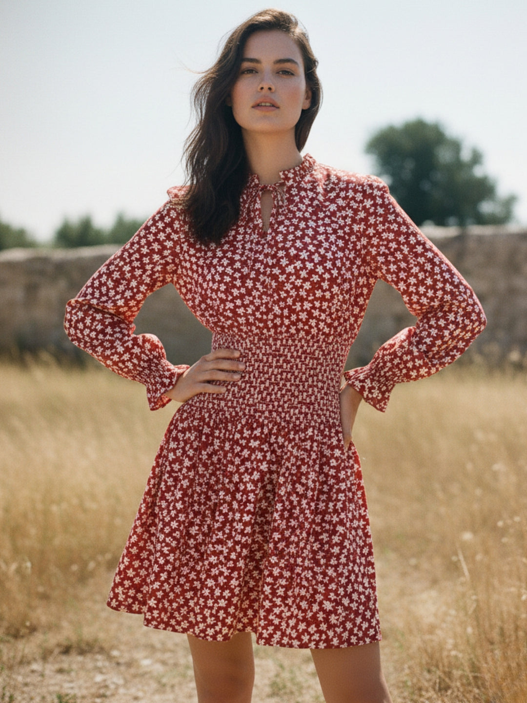 Wine Bishop Sleeve Waist Fitted Printed Dress