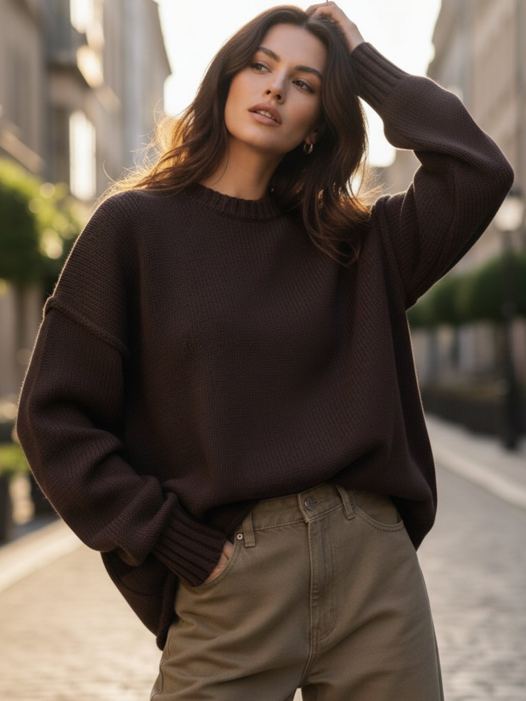 Brown Full Sleeve Crew Neck Relaxed Sweatshirt