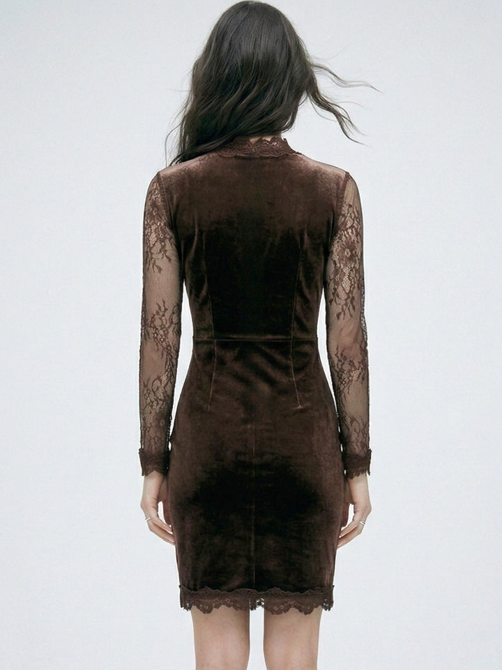 Brown Lace Sleeve Fitted Dress